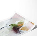 Soft Aspect I