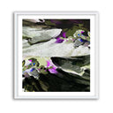 Spring Blomar Dark Square