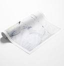 White Study Diptych I