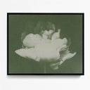 Antique Flower I