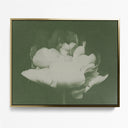 Antique Flower I
