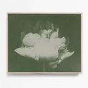 Antique Flower I