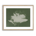 Antique Flower I