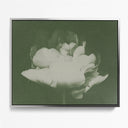 Antique Flower I