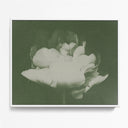 Antique Flower I