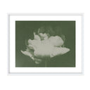 Antique Flower I