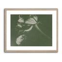 Antique Flower II