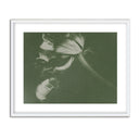 Antique Flower II