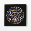 Black Butterfly Square