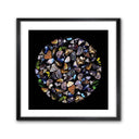 Black Butterfly Square