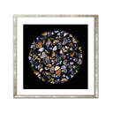 Black Butterfly Square