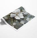 Magnolia Bloom I Square