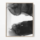 Monochrome Ink Bleed I