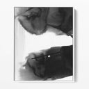 Monochrome Ink Bleed I