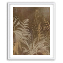 Ancient Garden II