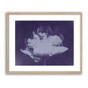 Antique Flower Blue I