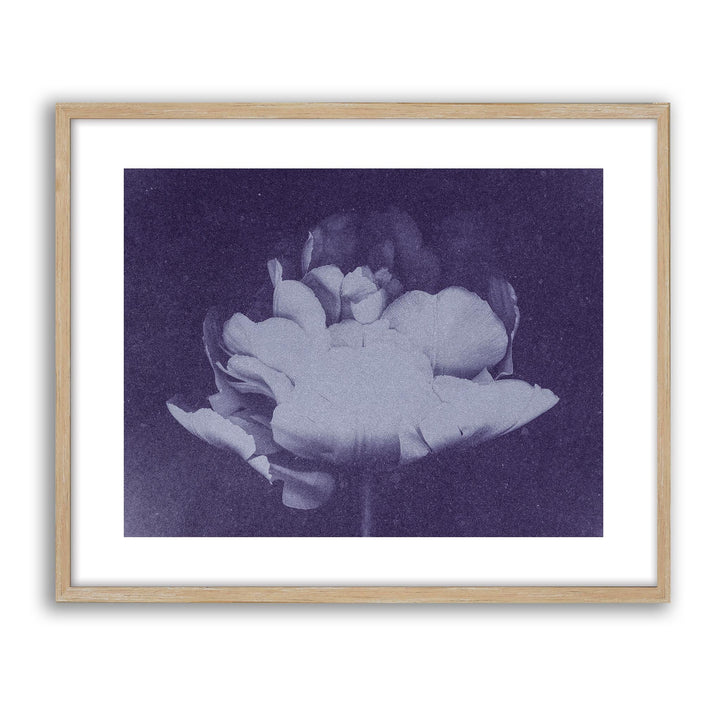 Antique Flower Blue I