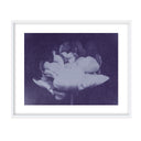Antique Flower Blue I