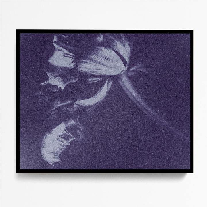 Antique Flower Blue II