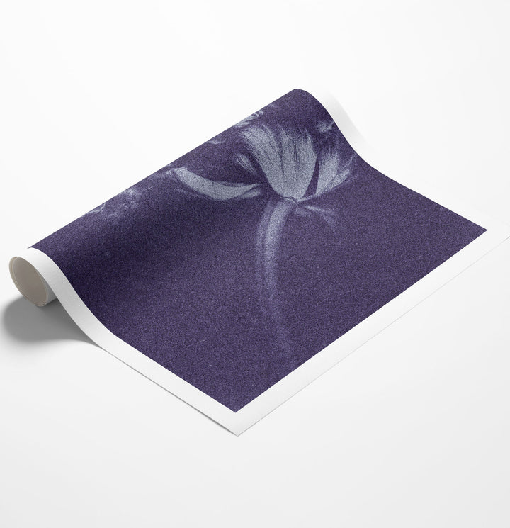 Antique Flower Blue II