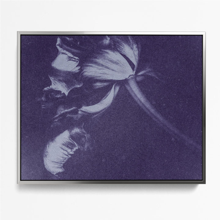 Antique Flower Blue II
