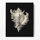Inner Shell I