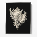 Inner Shell I