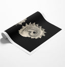 Inner Shell II