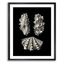 Inner Shell III