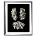 Inner Shell III