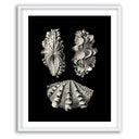 Inner Shell III