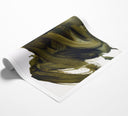 Olive Gesture I