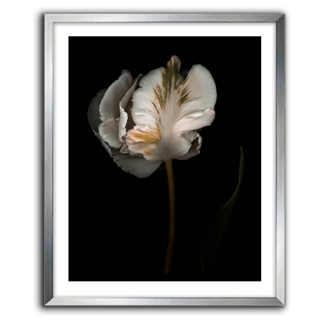 Romance II
