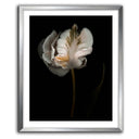 Romance II