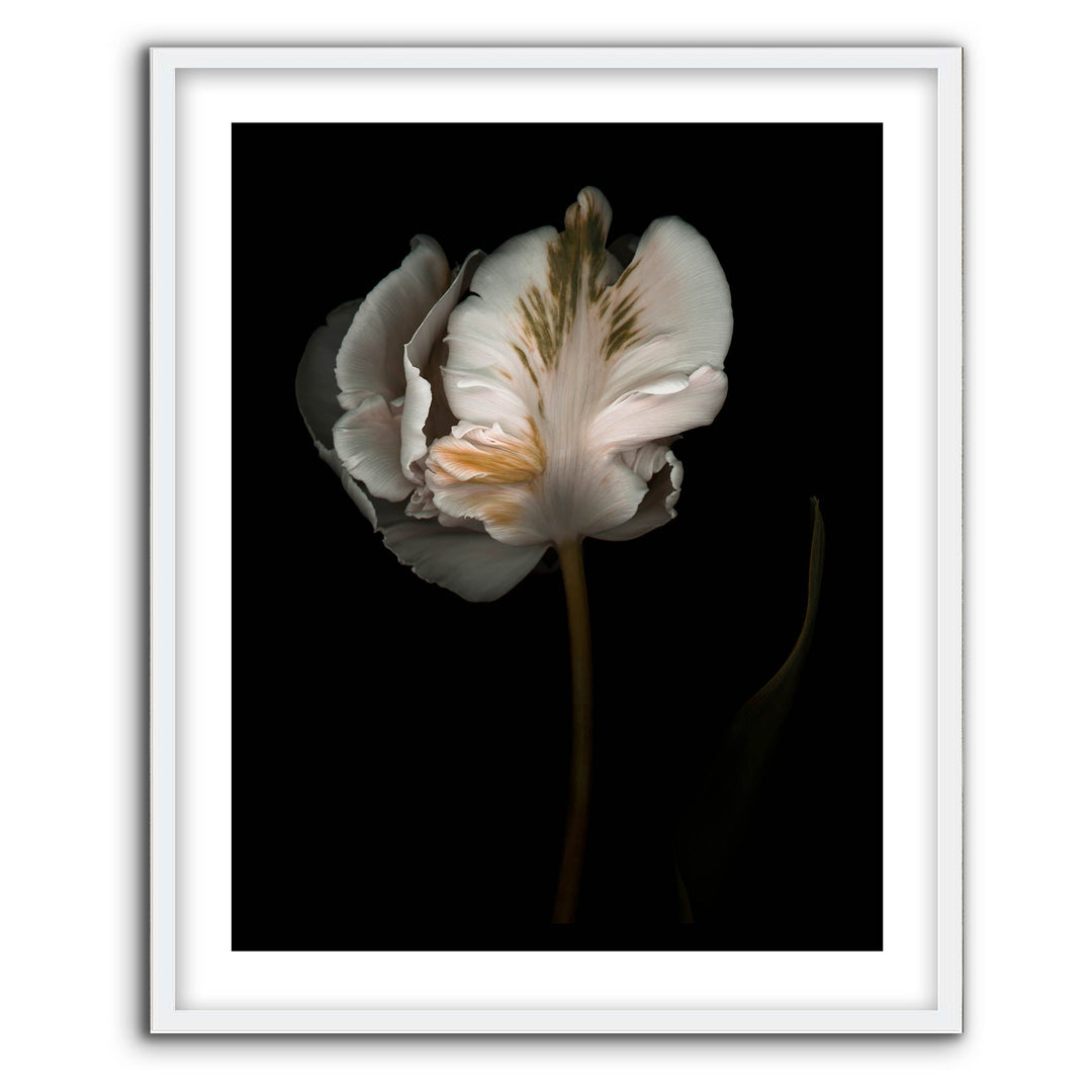Romance II